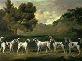 Foxhounds in a Landscape 1762 By George Stubbs