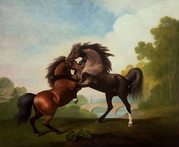 Horses Fighting by George Stubbs | Oil Painting Reproduction