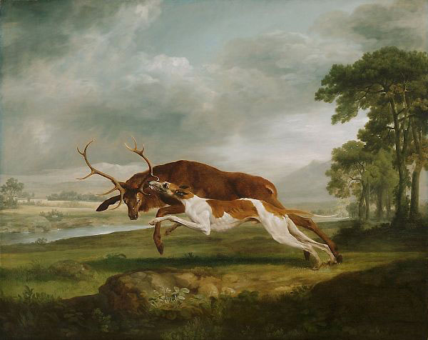 Hound Coursing a Stag by George Stubbs | Oil Painting Reproduction