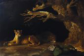 Lioness and Cave By George Stubbs