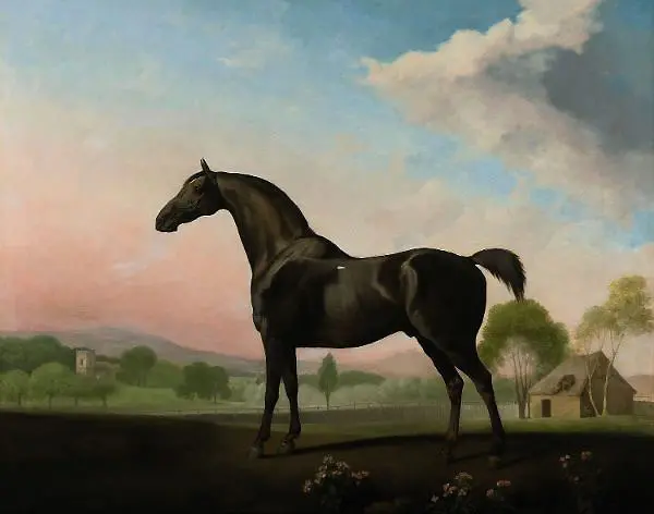 Lord Grosvenor's Sweet William in a Landscape 1779 By George Stubbs
