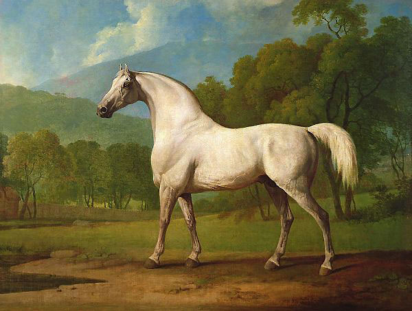 Mambrino c1790 by George Stubbs | Oil Painting Reproduction