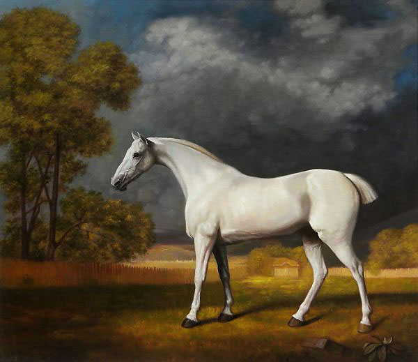 Mambrino White Horse in a Paddock | Oil Painting Reproduction