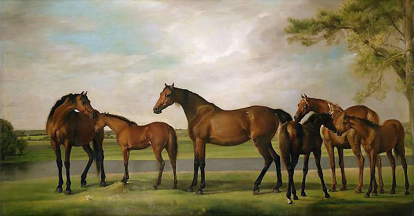 Mares and Foals Disturbed by an Approaching Storm | Oil Painting Reproduction