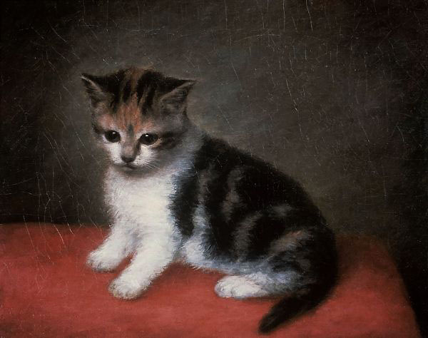 Miss Ann White's Kitten 1790 by George Stubbs | Oil Painting Reproduction