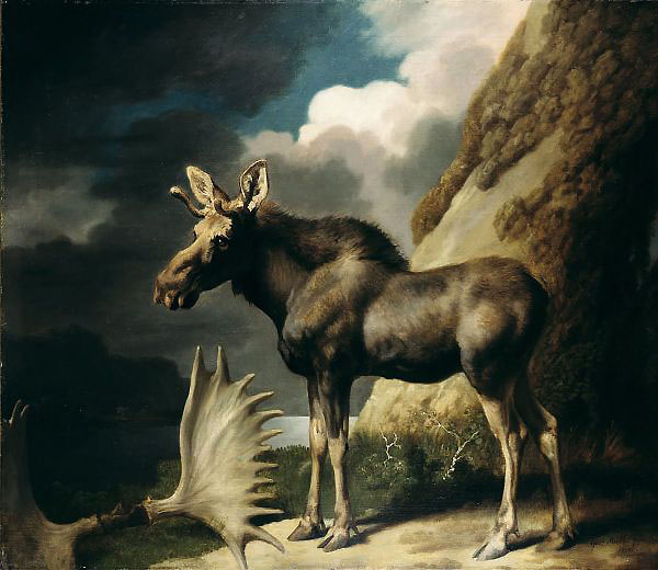 Moose 1770 by George Stubbs | Oil Painting Reproduction