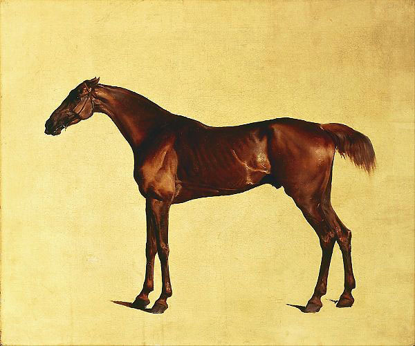 Pangloss 1762 by George Stubbs | Oil Painting Reproduction