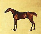Pangloss 1762 By George Stubbs