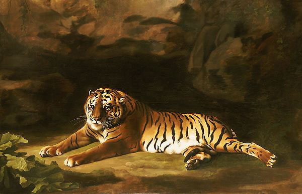 Portrait of the Royal Tiger c1770 | Oil Painting Reproduction