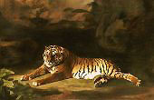 Portrait of the Royal Tiger c1770 By George Stubbs