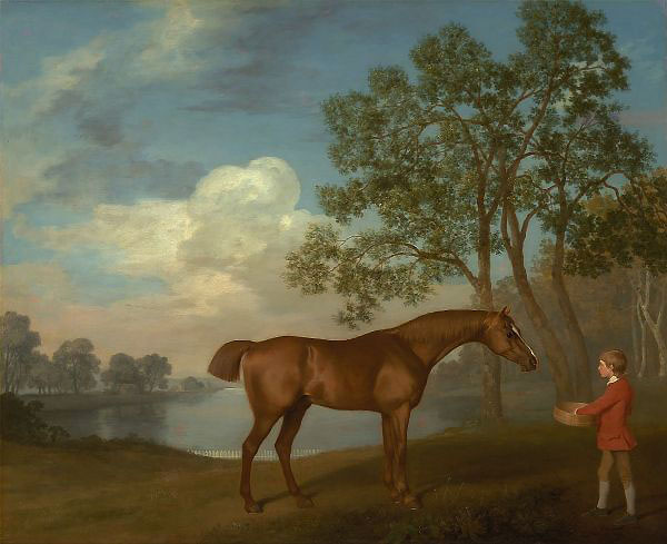 Pumpkin with a Stable Lad by George Stubbs | Oil Painting Reproduction