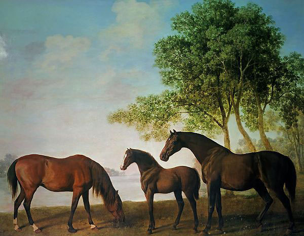 Shafto Mares and a Foal by George Stubbs | Oil Painting Reproduction