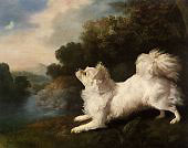 Spaniel belonging to Painter Cosway Chasing a Butterfly By George Stubbs