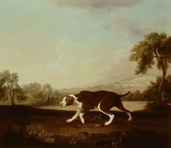 Spanish Pointer by George Stubbs | Oil Painting Reproduction