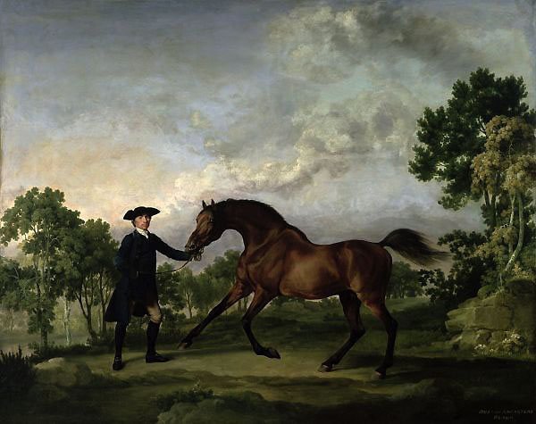 The Duke of Ancaster's Bay Stallion Blank held by a Groom | Oil Painting Reproduction