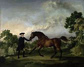 The Duke of Ancaster's Bay Stallion Blank held by a Groom By George Stubbs