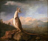 The Kongouro from New Holland 1772 By George Stubbs