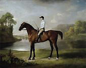 The Marquess of Rockingham's Scrub with John Singleton Up By George Stubbs