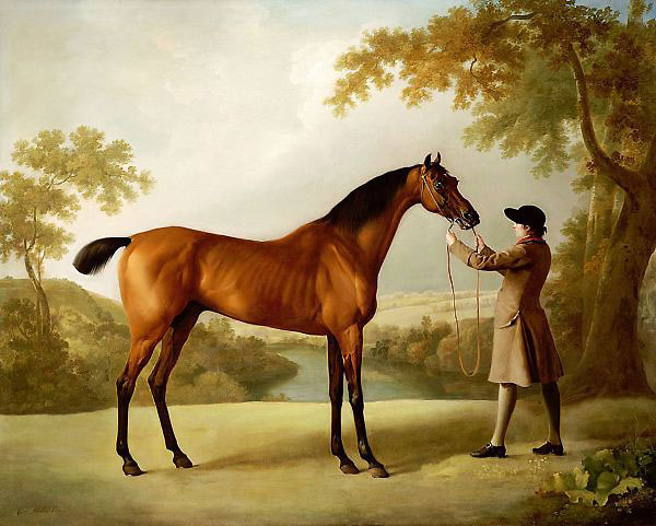 Tristram Shandy a Bay Racehorse Held by a Groom in an Extensive Landscape | Oil Painting Reproduction