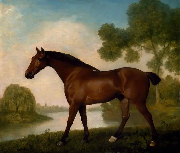 Truss A Hunter By George Stubbs