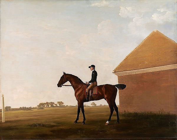 Turf with Jockey up at Newmarket | Oil Painting Reproduction