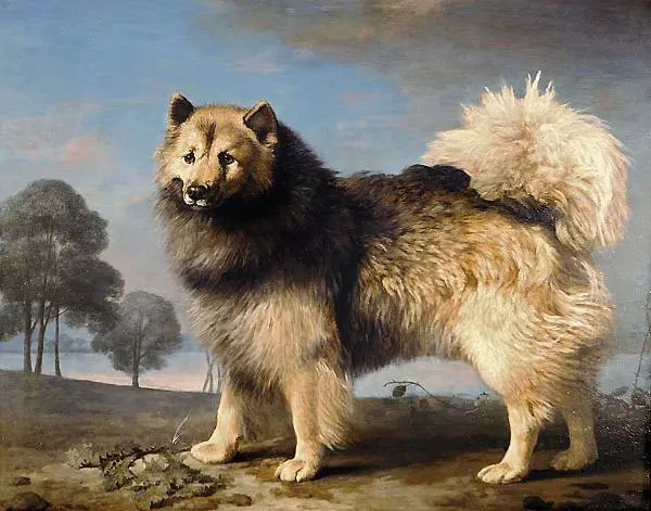 Turk 1778 By George Stubbs