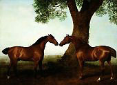 Two Bay Hunters by a Tree 1786 By George Stubbs