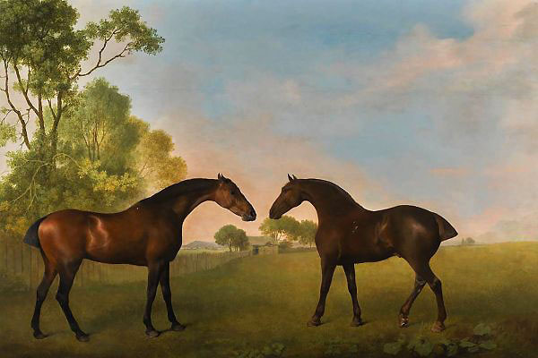 Two Bay Hunters in a Paddock 1789 | Oil Painting Reproduction