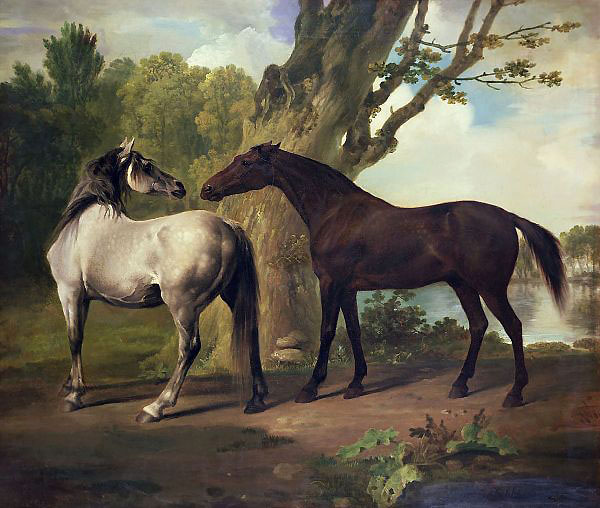 Two Horses in a Landscape by George Stubbs | Oil Painting Reproduction
