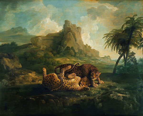 Tygers at Play c 1763 by George Stubbs | Oil Painting Reproduction