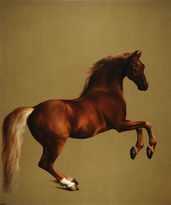 Whistlejacket 1762 by George Stubbs | Oil Painting Reproduction
