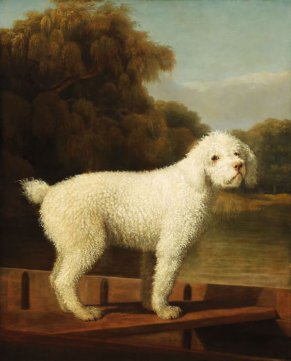 White Poodle in a Punt c1780 by George Stubbs | Oil Painting Reproduction