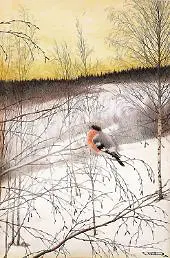 Bullfinch 1903 By Theodor Kittelsen