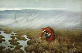 Princess Collecting Cotton By Theodor Kittelsen