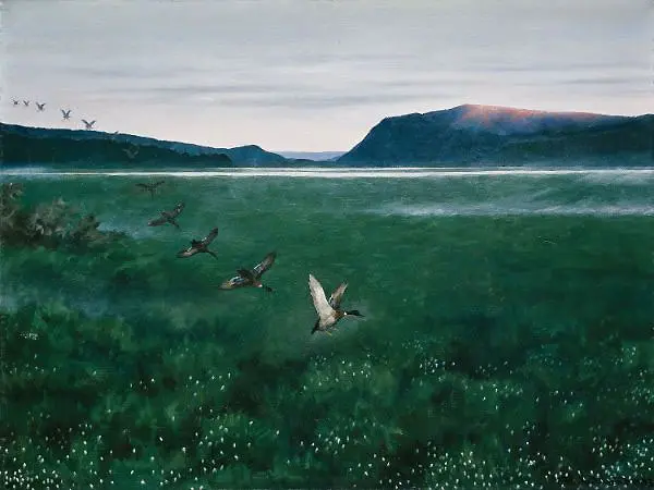 The Twelve Wild Ducks 1897 By Theodor Kittelsen
