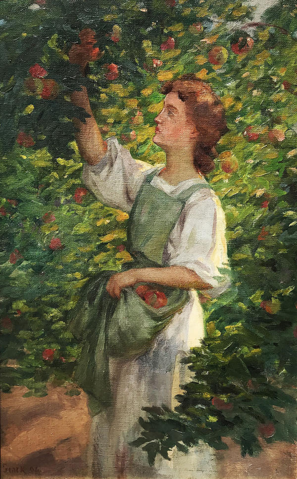 Gretchen Stark Picking Apples 1906 | Oil Painting Reproduction