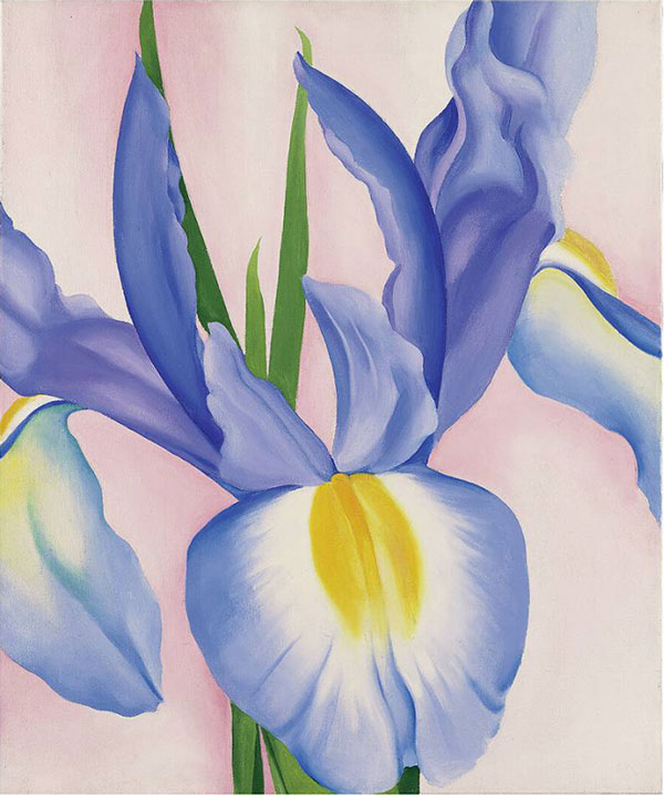 Lavender Iris 2 by Georgia O'Keeffe | Oil Painting Reproduction