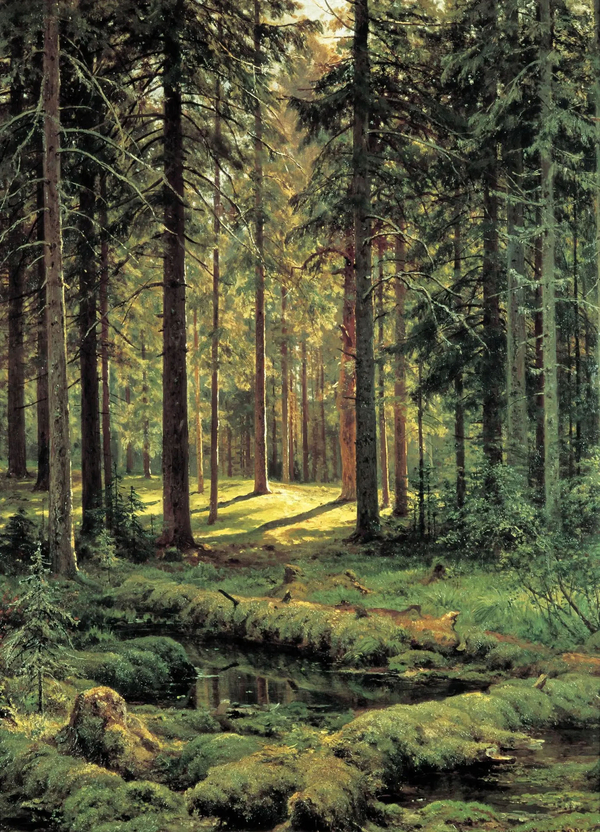 A Coniferous Forest Sunny Day 1895 | Oil Painting Reproduction