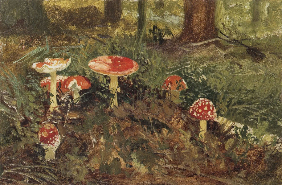 Amanita 1879 by Ivan Shishkin | Oil Painting Reproduction
