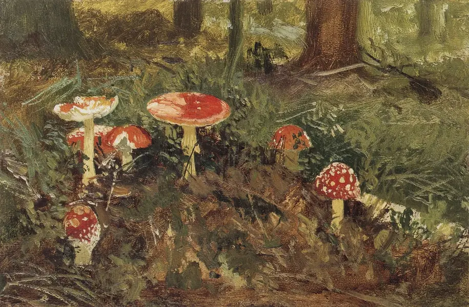 Amanita 1879 By Ivan Shishkin