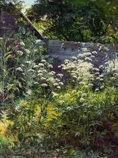 Area Overgrown Garden Goutweed Grass By Ivan Shishkin