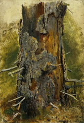 Bark on Dry Trunk 1890 By Ivan Shishkin