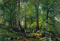 Beech Forest in Switzerland 1860 By Ivan Shishkin