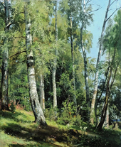 Birch Grove 1896 By Ivan Shishkin
