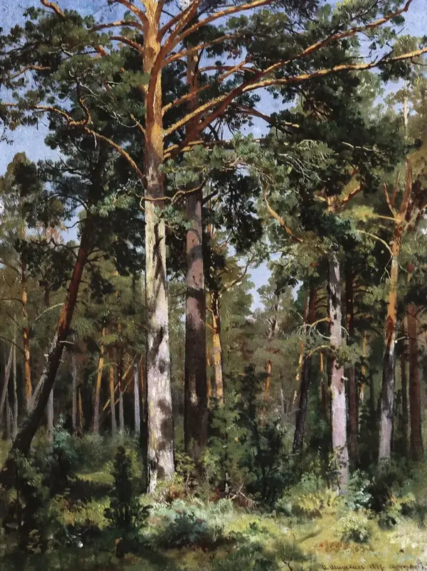 Boron in Sestroretsk 1887 By Ivan Shishkin