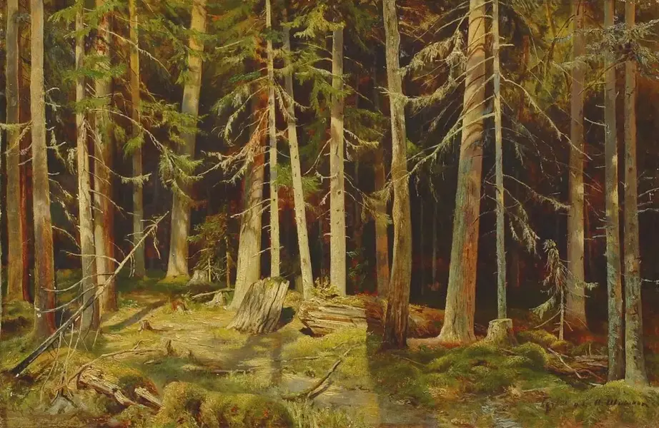 Bugry By Ivan Shishkin