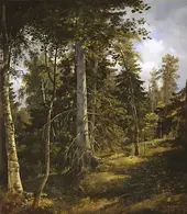 Covert 1867 By Ivan Shishkin