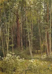 Covert 1894 By Ivan Shishkin