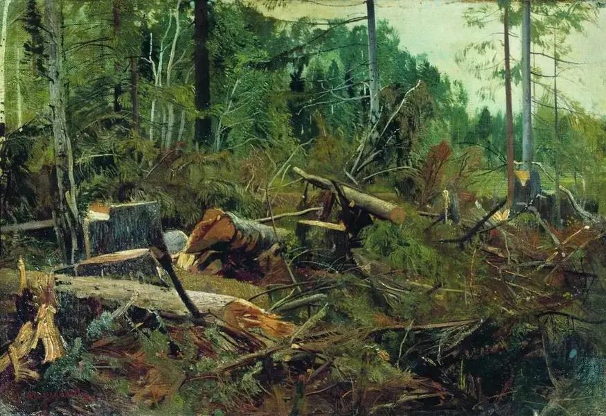 Cutting 1880 By Ivan Shishkin