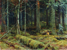 Dark Forest 1890 By Ivan Shishkin